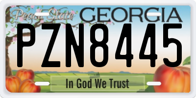 GA license plate PZN8445