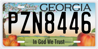 GA license plate PZN8446
