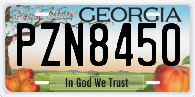 GA license plate PZN8450