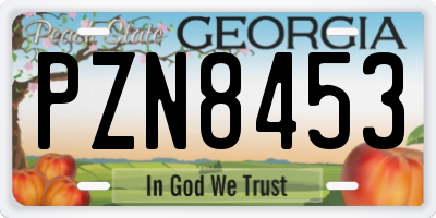 GA license plate PZN8453