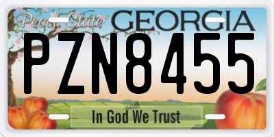 GA license plate PZN8455