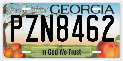 GA license plate PZN8462