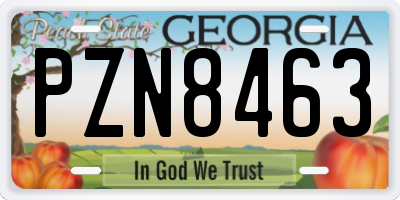 GA license plate PZN8463