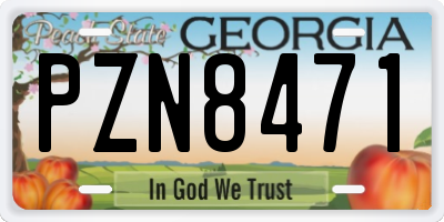 GA license plate PZN8471