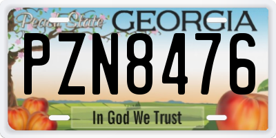 GA license plate PZN8476