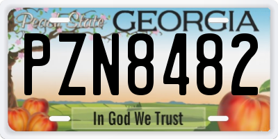GA license plate PZN8482