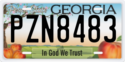 GA license plate PZN8483