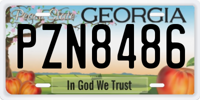 GA license plate PZN8486