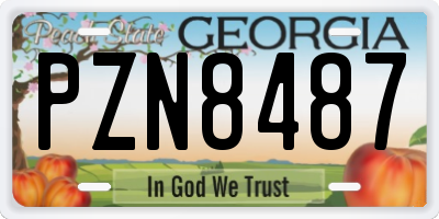 GA license plate PZN8487