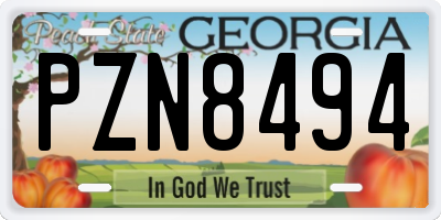 GA license plate PZN8494