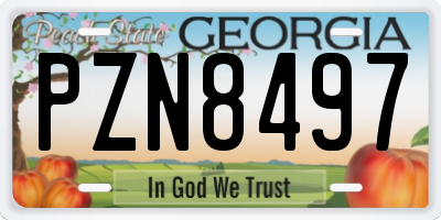GA license plate PZN8497