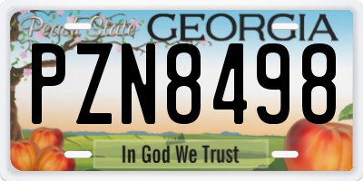 GA license plate PZN8498