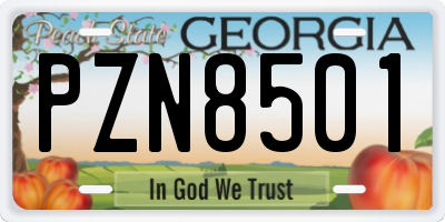 GA license plate PZN8501