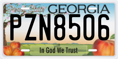 GA license plate PZN8506