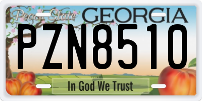 GA license plate PZN8510