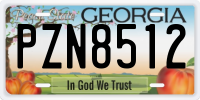 GA license plate PZN8512