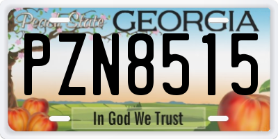 GA license plate PZN8515