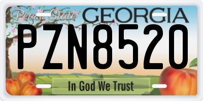 GA license plate PZN8520