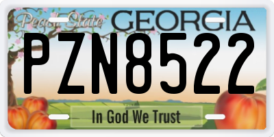 GA license plate PZN8522