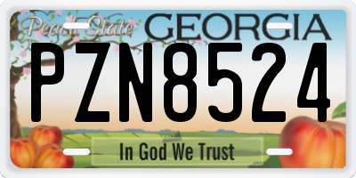 GA license plate PZN8524