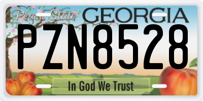GA license plate PZN8528