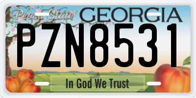 GA license plate PZN8531