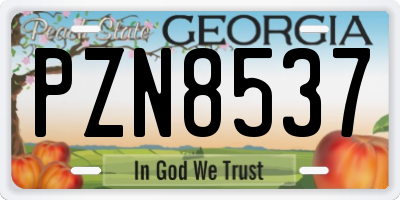 GA license plate PZN8537