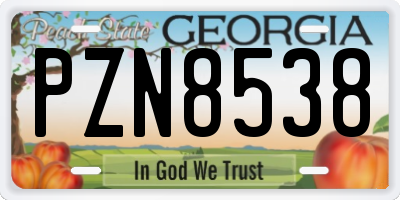 GA license plate PZN8538