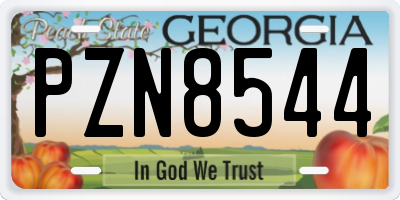 GA license plate PZN8544