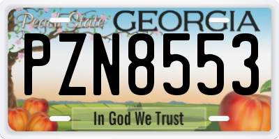 GA license plate PZN8553