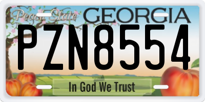 GA license plate PZN8554