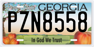GA license plate PZN8558