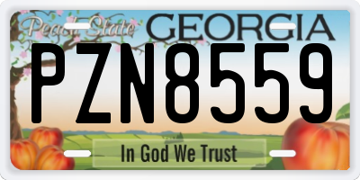 GA license plate PZN8559