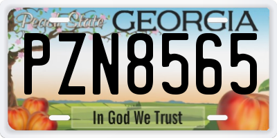 GA license plate PZN8565