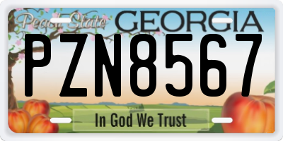 GA license plate PZN8567