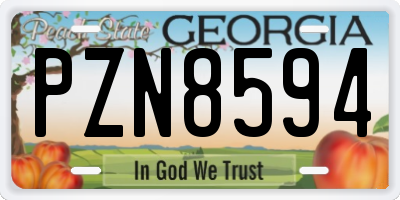 GA license plate PZN8594