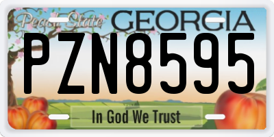 GA license plate PZN8595