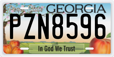 GA license plate PZN8596