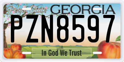 GA license plate PZN8597