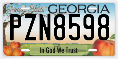 GA license plate PZN8598