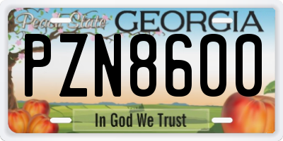 GA license plate PZN8600