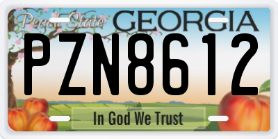 GA license plate PZN8612