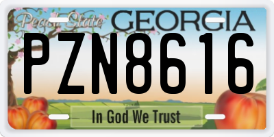 GA license plate PZN8616