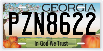 GA license plate PZN8622