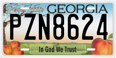 GA license plate PZN8624