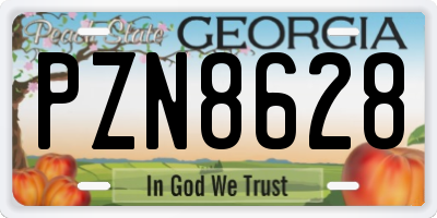 GA license plate PZN8628