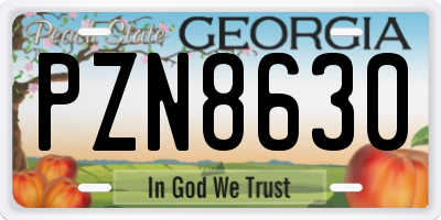 GA license plate PZN8630