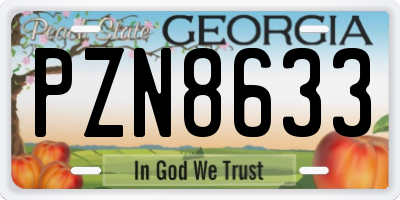 GA license plate PZN8633
