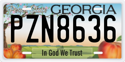 GA license plate PZN8636