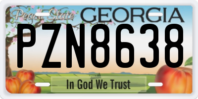 GA license plate PZN8638